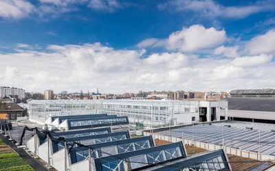 ABATTOIR SA FOODMET
