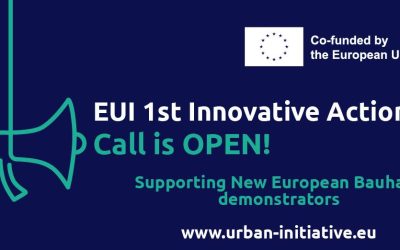 First Call for Proposals of EUI